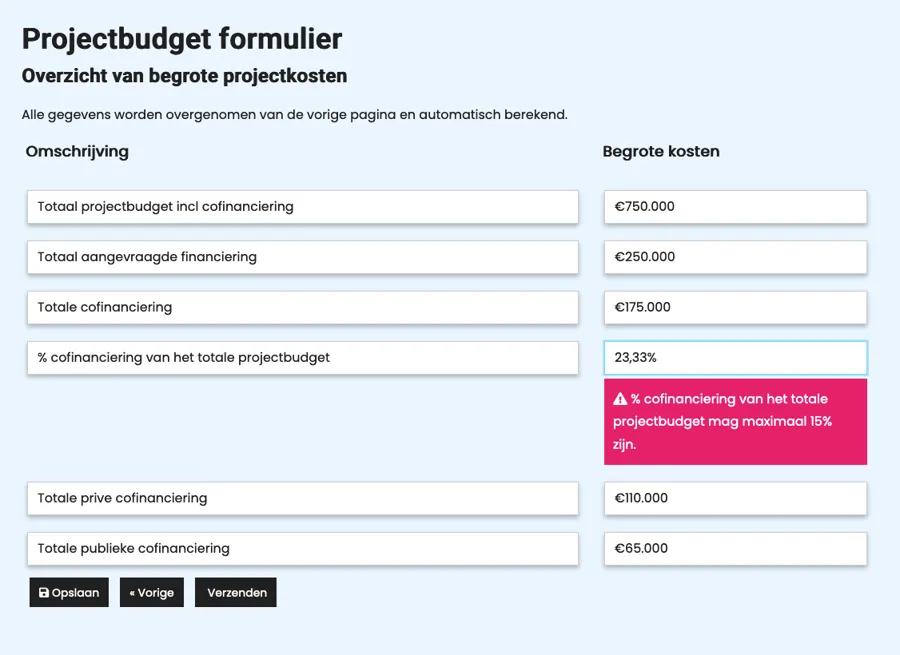 Project en budget form digital