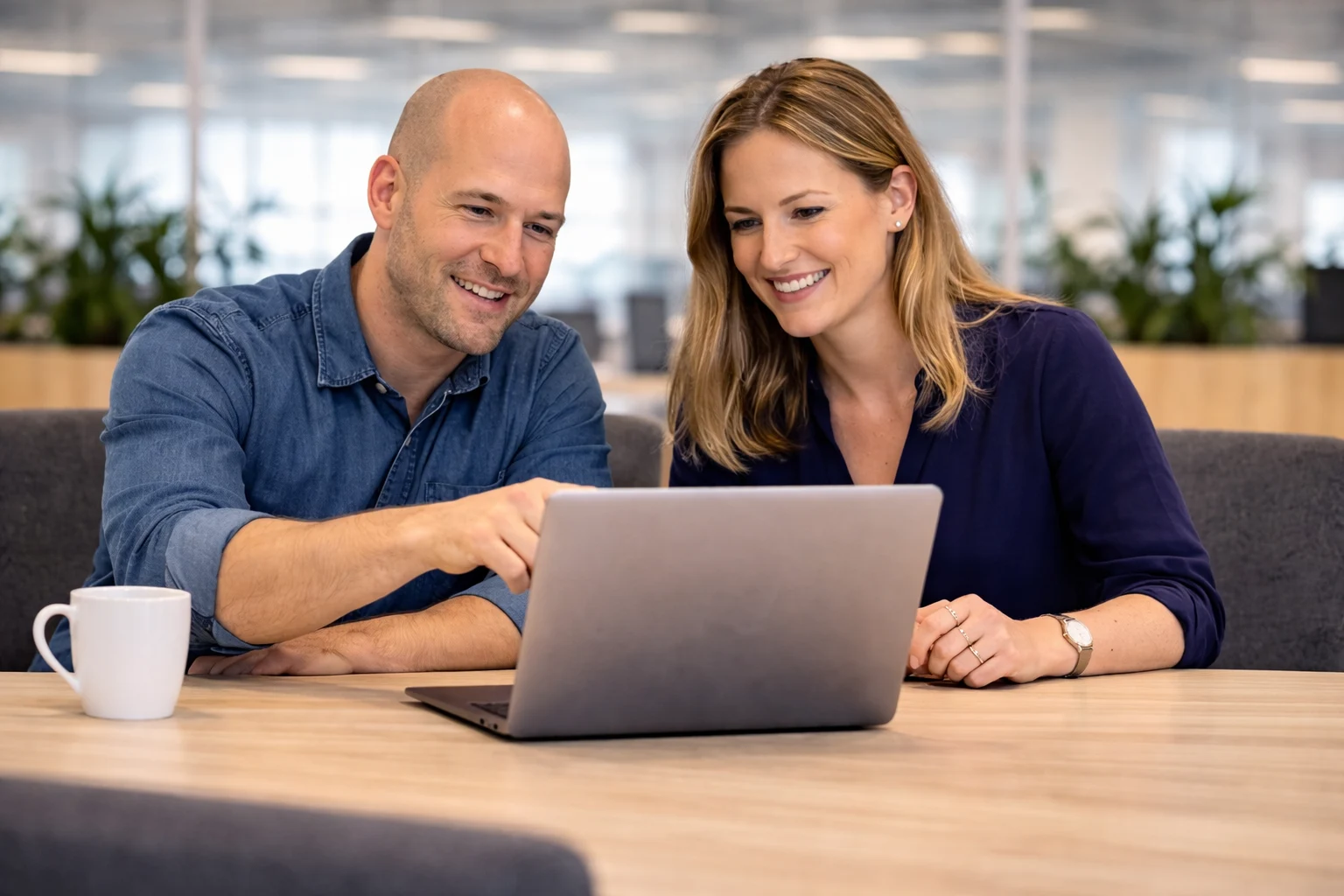 Nederlands Formulieren Systeem voor invulformulieren